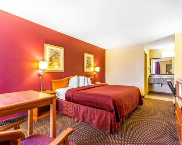 Mill Tree Inn Millington image 16